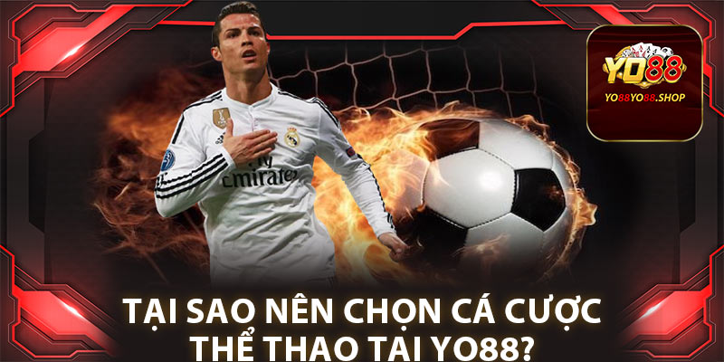 Tại sao nên chọn cá cược thể thao tại Yo88?