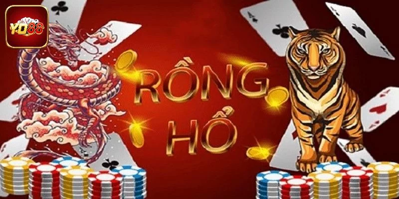 Luật chơi game Rồng Hổ dễ hiểu cho tân binh Luật chơi game Rồng Hổ dễ hiểu cho tân binh