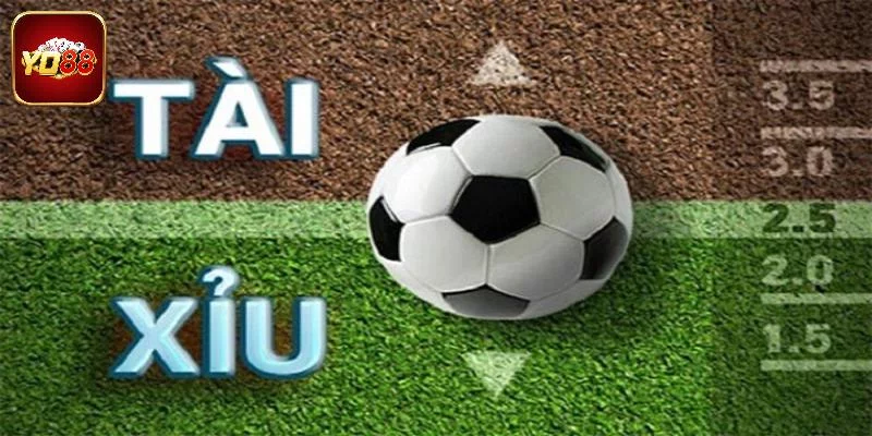 Tìm hiểu cách đọc dễ dàng trong kèo tài xỉu là gì